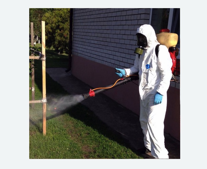 травля клещей на участке в Черемушках города Москвы