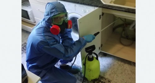 Уничтожение муравьев в квартире. Черёмушки