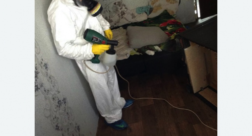 Обработка квартир от насекомых в Черемушках города Москвы