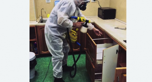 Дезинсекция квартиры. Черёмушки