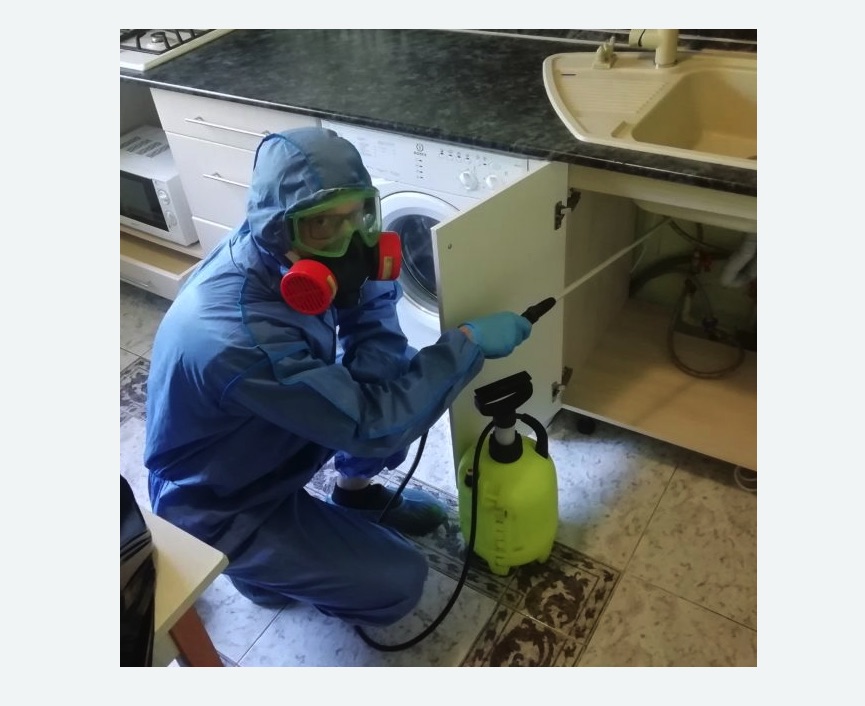 обработка от муравьев в квартире в Черемушках города Москвы