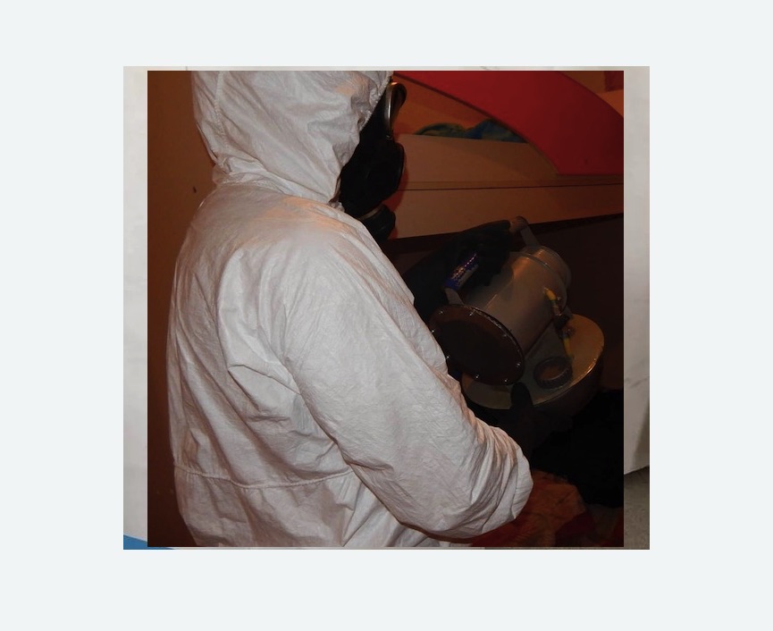 Дезинфекция от муравьев в Черемушках города Москвы